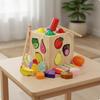 4 MultiFunctional Toy Set HandEye Coordination Wooden Activity Box Fine Motor Skills Shape