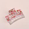 Plastic Shark Clip Cute Fruits Hair Clip Fashion Hairpins  Summer