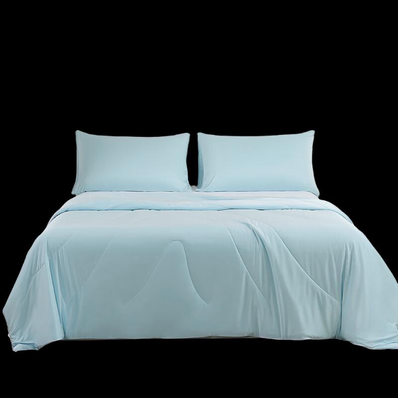 Hengyuanxiang Washable Tussah Silk Summer Quilt