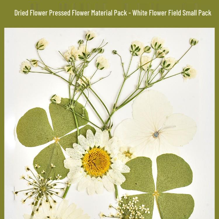 Autumn Dried Flower Bookmark Kit: Transparent Leaf Specimen with Lamination Film Stickers