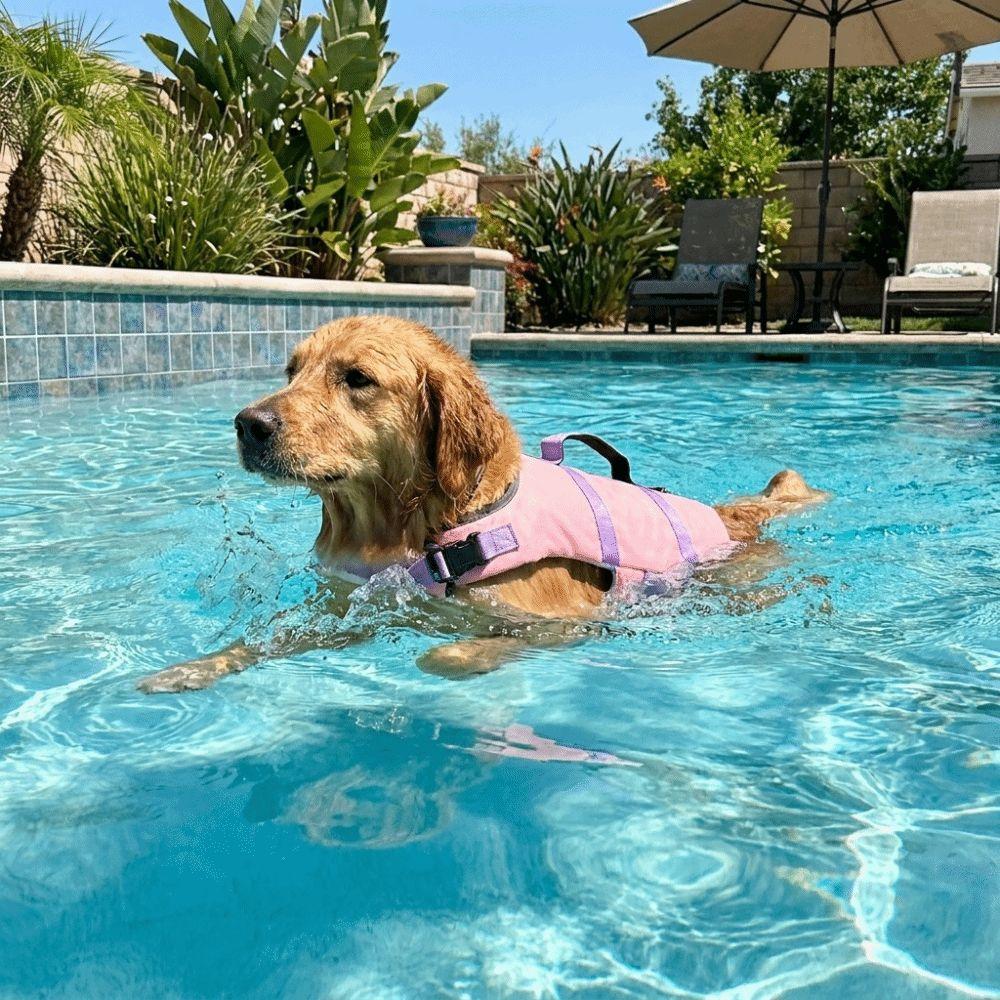 Verstellbare Hunde-Schwimmweste Hoher Auftrieb Hunde-Schwimmkleidung Hundebadeanzug Hunde-Sicherheitswesten Strand
