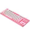 DK100 87-Key Wired Punk Hot-Swappable Mechanical Keyboard