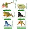 TOYMANY 12-Piece Frog Figure Set, Realistic Frog Model Figurines, Perfect for Birthdays, Christmas, New Years, Halloween, and More, Ages 6 and Up