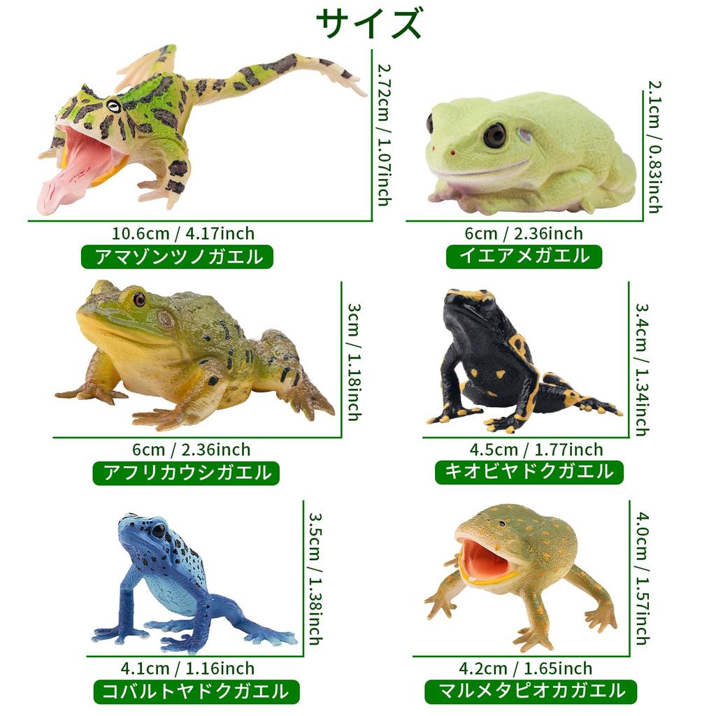 TOYMANY 12-Piece Frog Figure Set, Realistic Frog Model Figurines, Perfect for Birthdays, Christmas, New Years, Halloween, and More, Ages 6 and Up