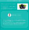 FINE JAPAN Superfood Acai Maqui Berry Rich in Total Contains 45 Types of Food Enzymes per Made in Japan x 2 Pack & Powder, Polyphenols, (3g/50g day),