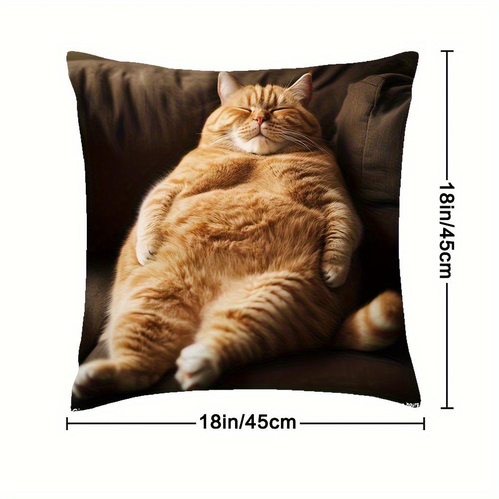 Fat Cats Pillowcase Zipper Closure Contemporary Farmhouse Style For Sofa Bed Car 100% Polyester Machine Washable (No Insert)