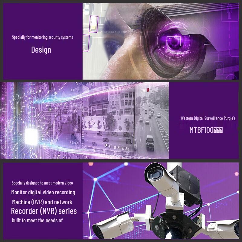 Western Digital Purple Surveillance Hard Drive