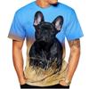 Tricou cu mânecă scurtă pentru bărbați, cu mânecă scurtă, cu gâtul în formă de animal, cu imprimeu 3D, pentru băieți, copii, tricou drăguț, maiuri