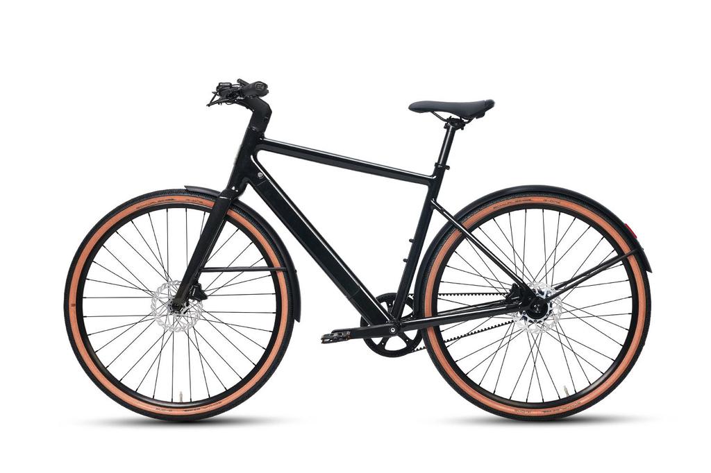 Electric Bicycle DERUIZ Turmali 28",36V 250W 35Nm,Gates Carbon Drive Belt Drive, Max Range 110Km,17.8 kg, BLACK