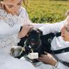 1Pc Mini Wedding Leather Ring Box For Proposing Dog Collar Pendant Ring Box Engagement Wedding Ring Storage Box