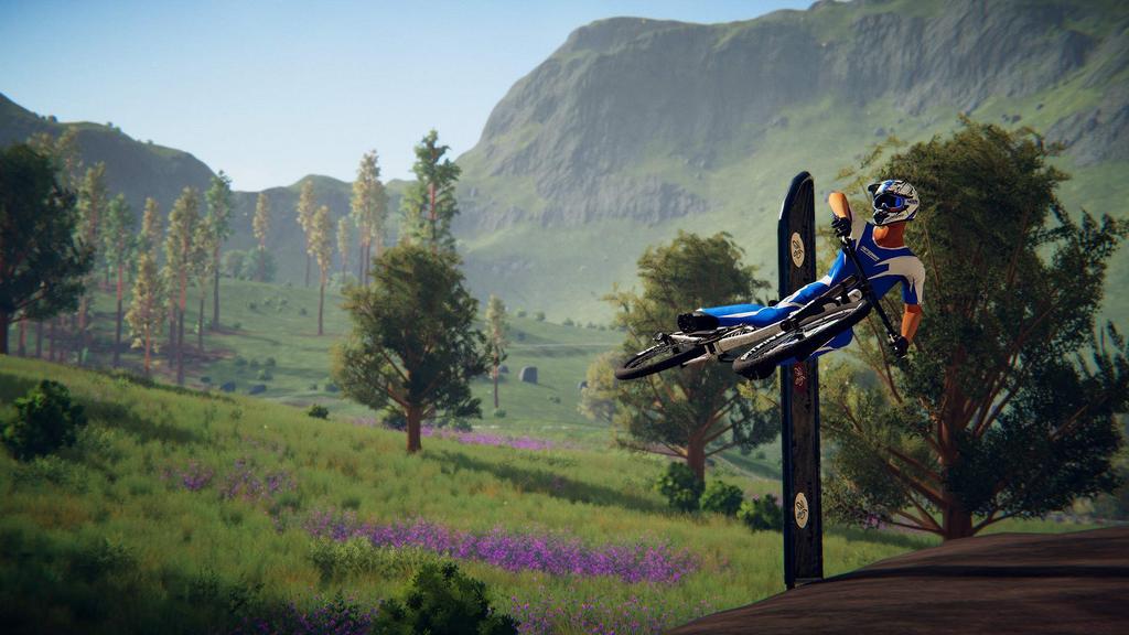 Descenders Switch -