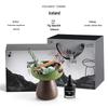 Aroma Stone Essential Oil Diffuser Gift Box - Long-Lasting Indoor Air Freshener & Hotel Ornament with Customizable Fragrance 