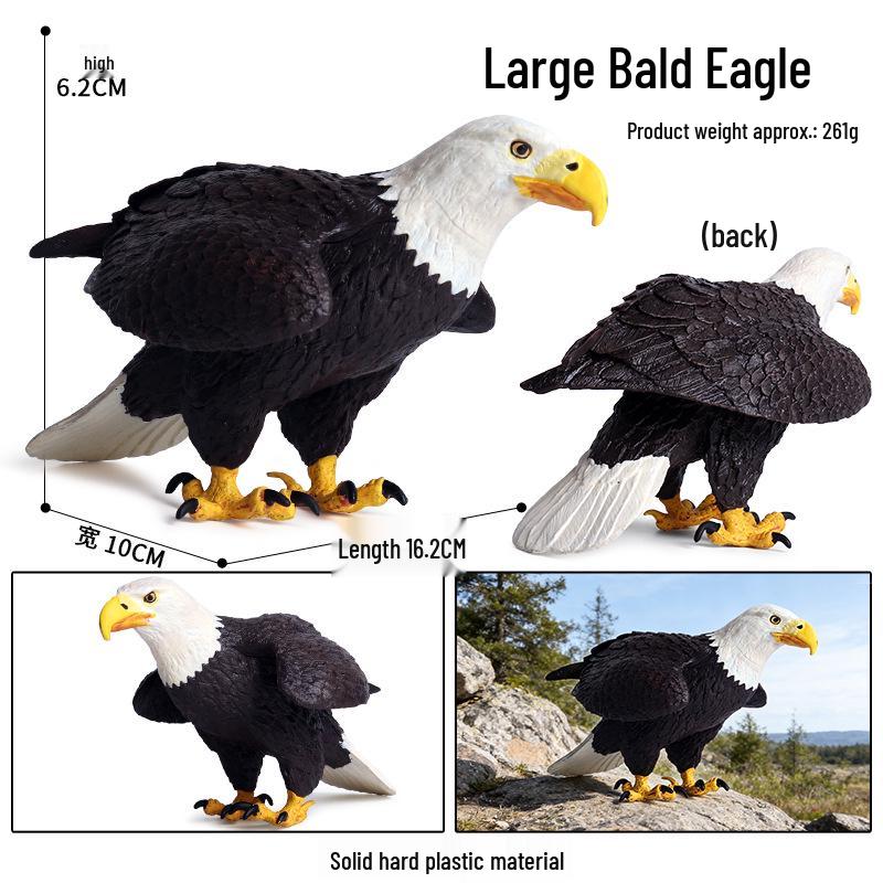 Kids' Bird Model Set: Toucan, Parrot, Ostrich, Peacock, Eagle, Pigeon, Owl.