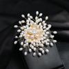 2022 New Creative Luxury Pearl Brooches Pins For Women Elegant Rhinestone Snowflakes Flower Accessories Lady Wedding Party Gift