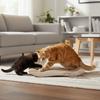 Scratch Resistant Corrugated Paper Scratcher Wear-resistant Claw Grinding Board  for Playing