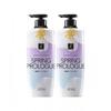 Elastine Spring Prologue Parfüm Shampoo 600ml X 2er Pack