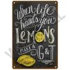 Metal Sign Vintage Tin Sign Decorations Gin  Tonic Cocktail Plate Decorative Poster Plaque Retro Bar Kitchen Home Wall Decor