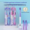 Calf Adventure Orthodontic U-shaped Toothbrush Replacement Heads