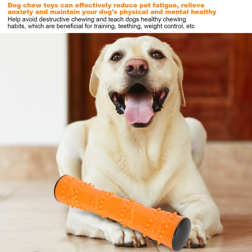 Dog Chew Toy Teeth Cleaning Stick with Sound Pet Interactive Molar Playing Toy