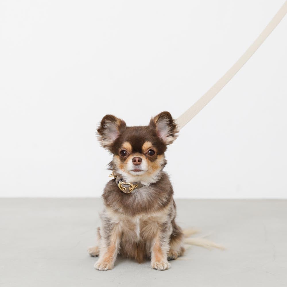 Kožený obojek pro malé psy s přezkou ve tvaru srdce z pravé hovězí kůže, nastavitelný, ideální na procházky a výlety monchéri [Zmenšený obojek] (S/Mocha)