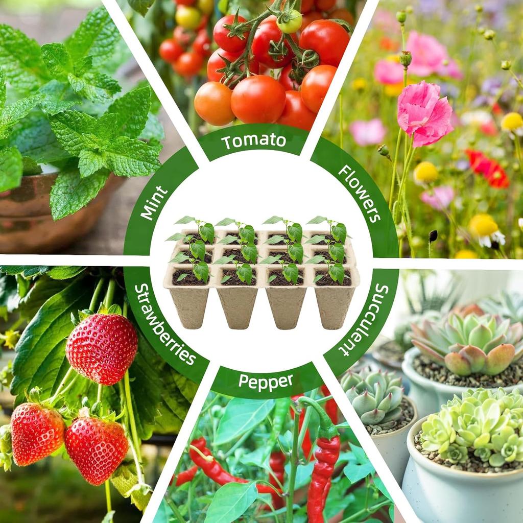 Seed Starter Tray,20 Pack Biodegradable Peat Pots for Seedlings,240 Cells Seed Starter Pots Germination Seedling Trays,Organic Seed Starting Trays