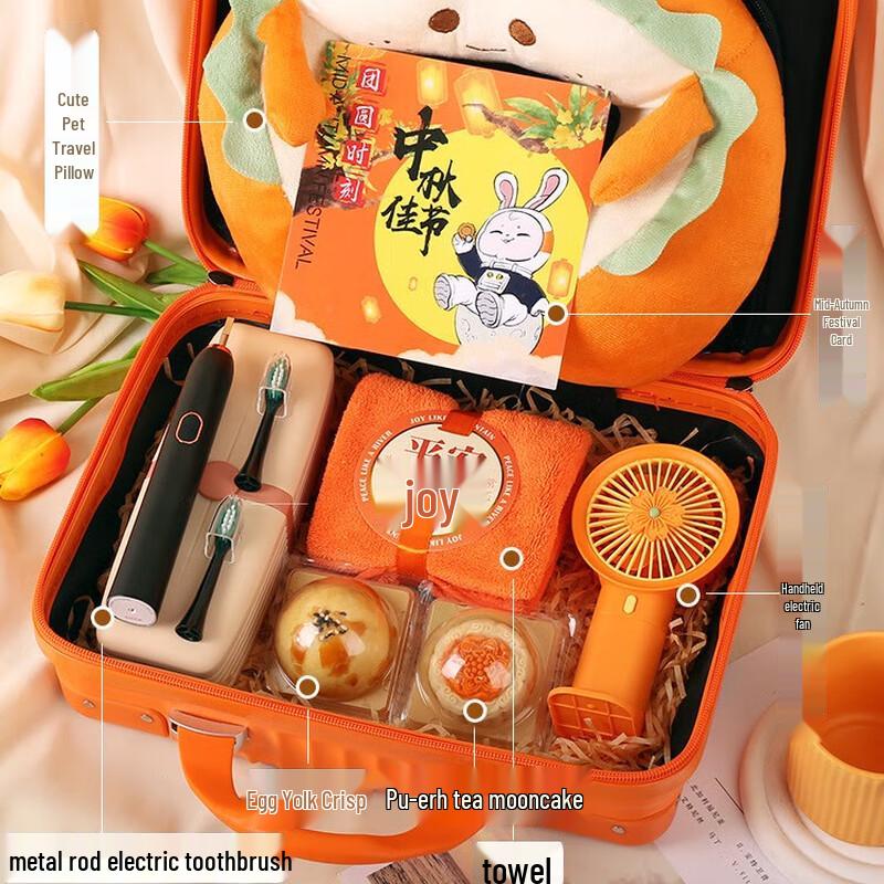 WJ Portable ABS Hand Luggage 12 inch (30x27x16cm)