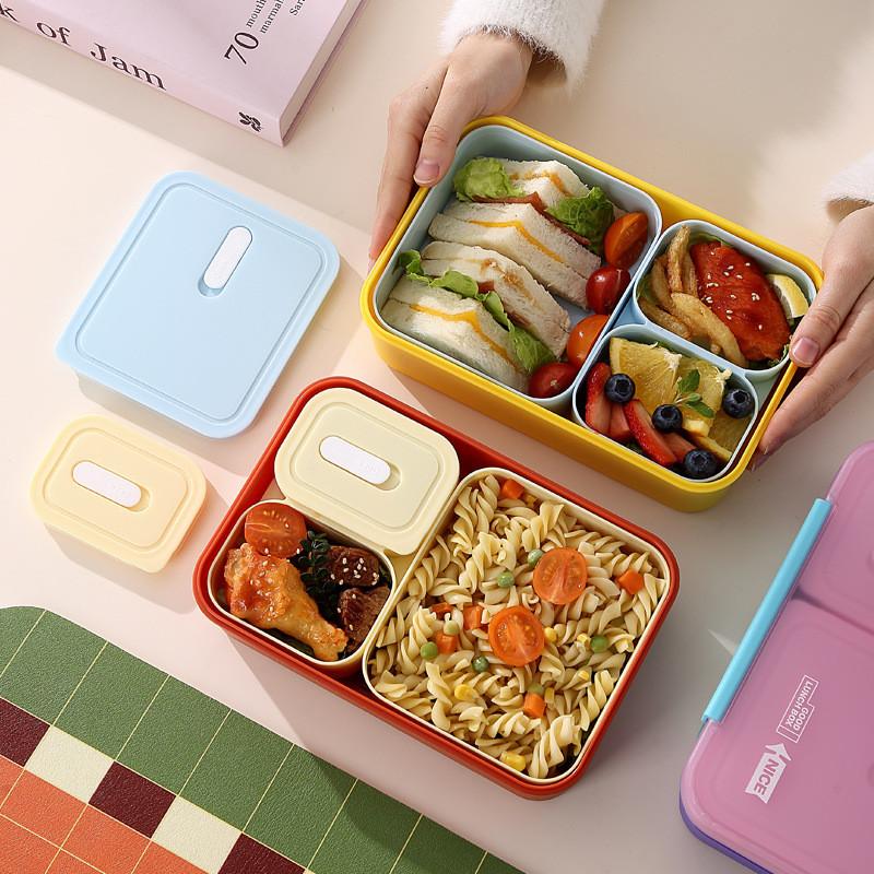 Student Bento Box With Multiple Compartments For Office And School Use