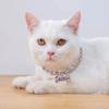 Adjustable Pet Necklace Cat Dog Crystal Collar Rhinestone Bone Pendant Cats Dogs Luxury Fashion Dress Up Decoration Accessories