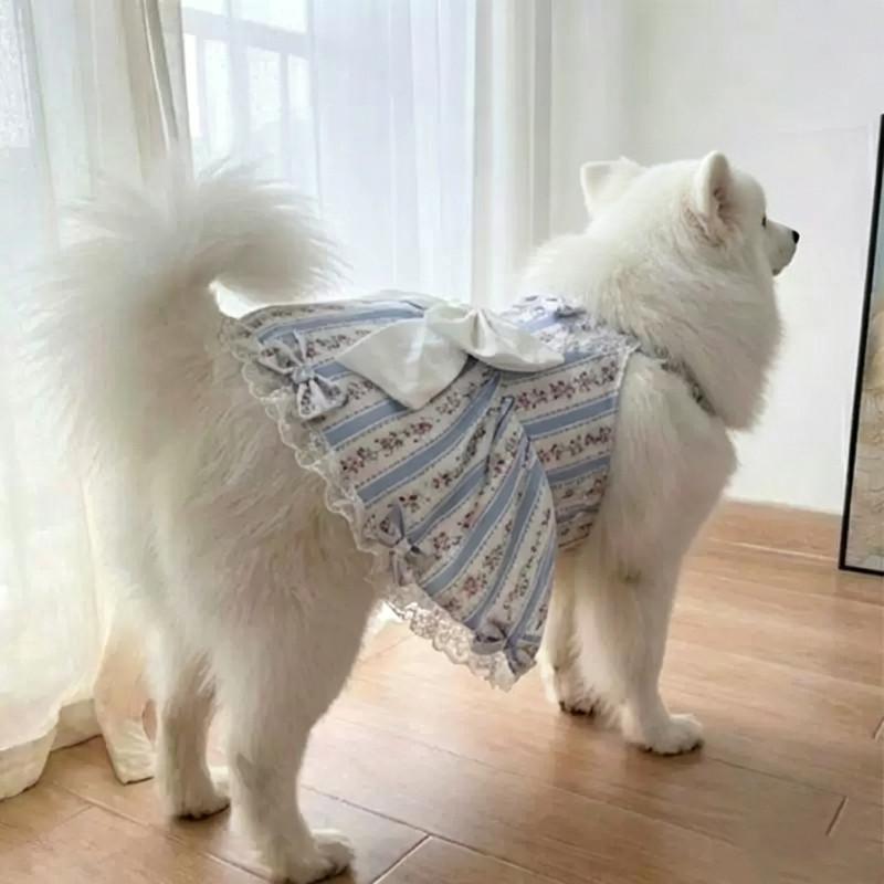 Summer Dog Dress Small Medium Big Dog Clothes Poodle Schnauzer Samoyed Border Collie Husky Labrador Golden Retriever Clothing