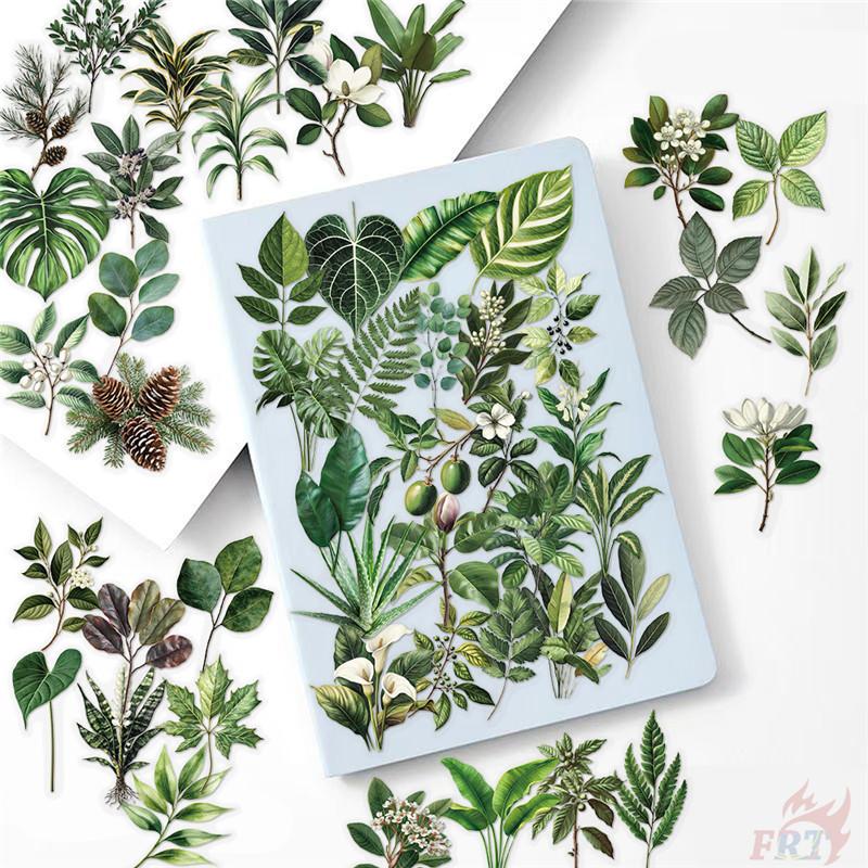 50Pcs/Set Green Leaves Series 02 PET Stickers Waterproof DIY Fashion Doodle Decals Stickers