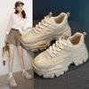 Mesh breathable dad shoes spring and autumn new platform casual sneakers