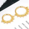G23 Titanium Piercing Nose Ring Body Jewelry Hoop Earings ASTM F136 Cartilage Tragus Diaphragm Titanium Hing