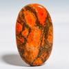 Fossil Coral 2x3.3mm Natural Cabochon Fine Loose Gemstone 25.2Cts.