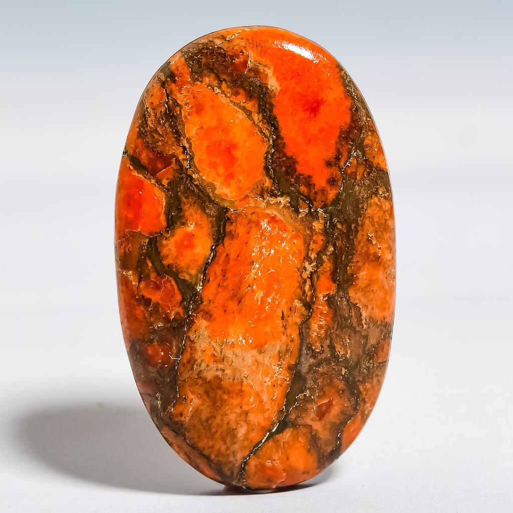 Fossil Coral 2x3.3mm Natural Cabochon Fine Loose Gemstone 25.2Cts.