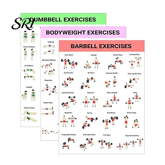Wall-mounted Fitness Guide 3Pcs Home Workout Poster Set with Dumbbell Bodyweight Barbell Exercises Full Body Schedule Strength Training for Beginners Sets