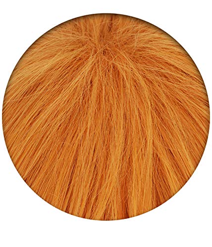 Eileen Żaroodporna Peruka Cosplay, Hanako-kun z Toalety, Peruka Minamoto Mitsuru, Peruka Kostiumowa do Przebrania