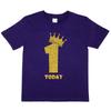 Kids One Today Birthday T-shirt In Gold Glitter Happy 1st Birthday Gift
