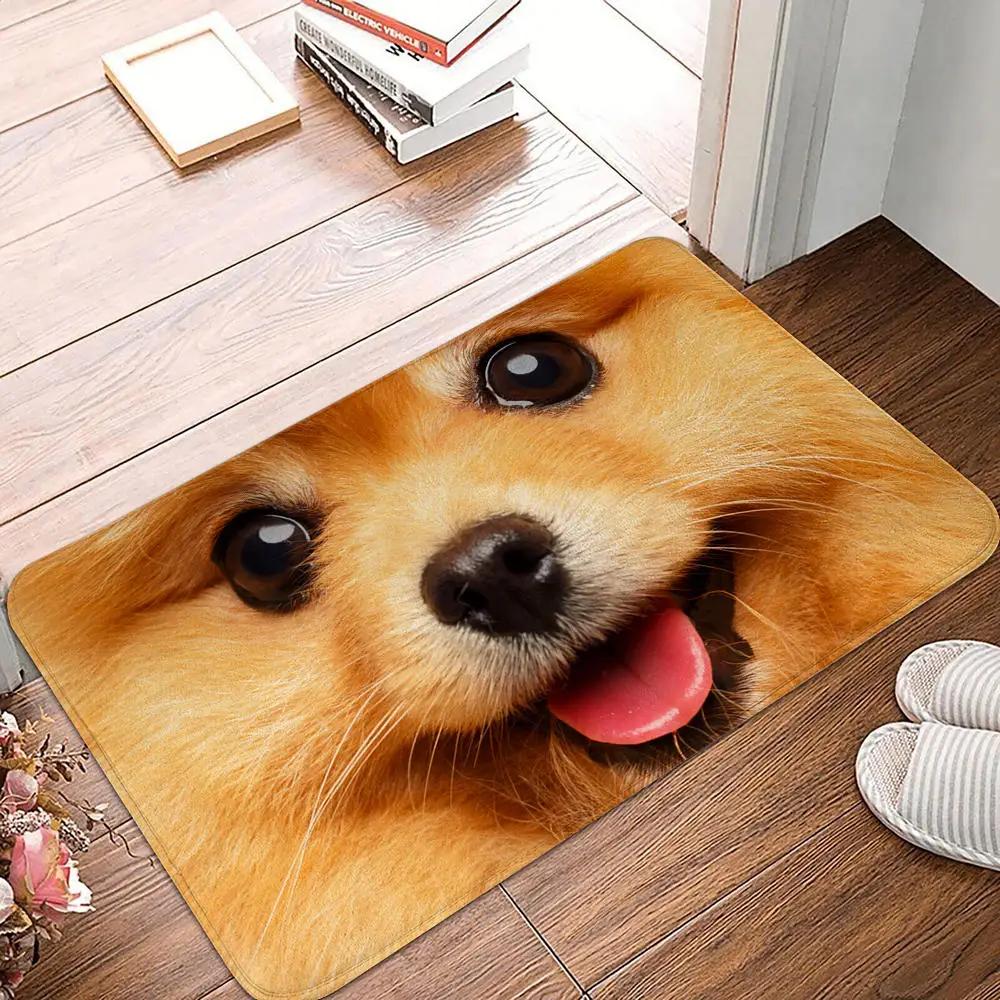 Bedroom Balcony Non-Slip Rug Entrance Door Mat Floor Dog Funny Pug Schnauzer Kitchen Living Room