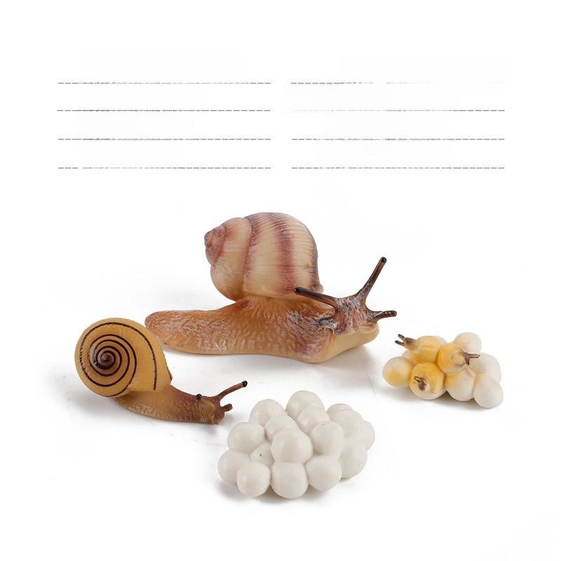 Allomyrina Dichotoma Model Pvc Realistic Display Scene For Science Education And Collectors