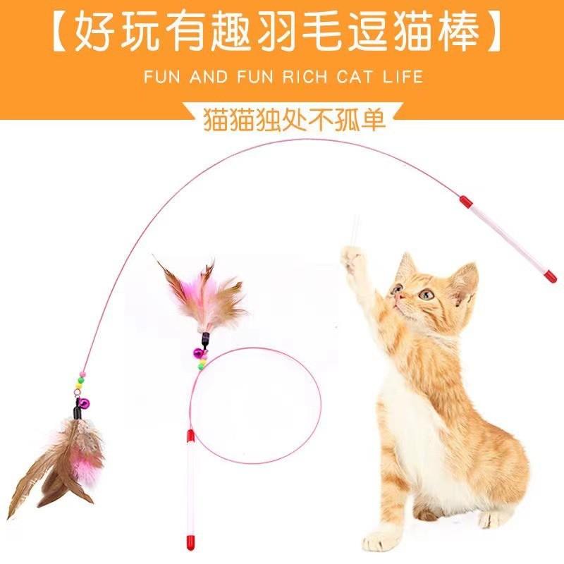 Interactive Cat Wand Toy With Feather Bell Plastic Handle Steel Wire Design Indoor Play Mental Stimulation