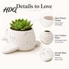 Creative Office Plant Holder 3D Printed Cartoon Airplane Succulents Pot Cute Desktop Flower Pot Indoor Window Sill Container for Small Plants,