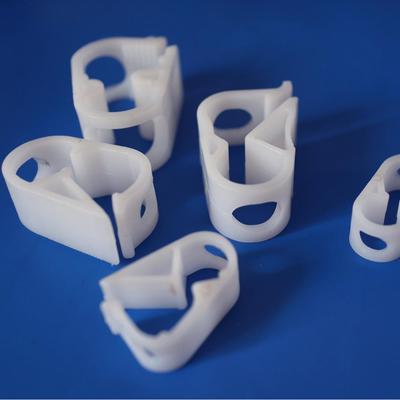 Pesci e animali marini – Manutenzione acquario