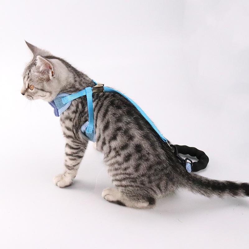 Belt-style Bow-shaped Cat Leash To Prevent Escape, Adjustable Cat Walking Rope, Chest-back Traction Rope
