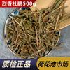 Premium Ledium Palustre Rhododendron Tomentosum Natural Tea 250g