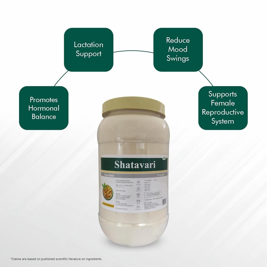 Jain Shatavari Powder 1 Kg Pure Herbal Supplement For Women Wellness Hormonal Balance Daily Health Support