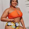 2025 Plus Size European & American Two-Piece Sexy Print Swimsuit - In Stock