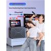 SANSUI C2 All-in-One Home KTV & Outdoor Karaoke Speaker with Display CN plug (adapter included)