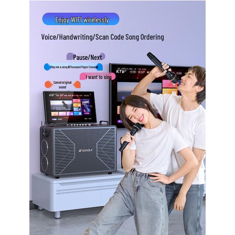 SANSUI C2 All-in-One Home KTV & Outdoor Karaoke Speaker with Display CN plug (adapter included)