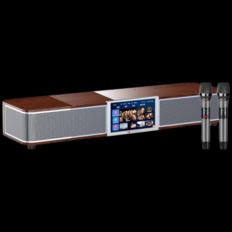 Shan Shui DV-92P Home KTV Karaoke Soundbar System (CN version)