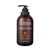 Moringa Hair Treatment 1000g